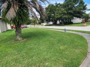 Casey B.'s lawn care services service result
