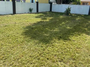 Kathy I.'s lawn care services service result