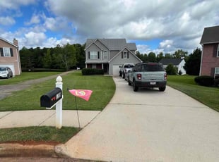 Dee A.'s turf care service result