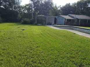 Avi H.'s lawn service service result
