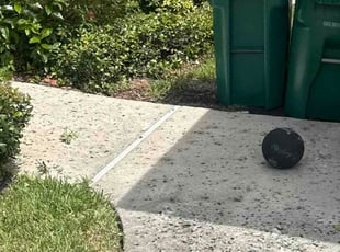 Alan S.'s Bush Trimming service result
