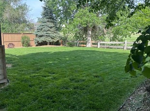 Americole S.'s lawn care service result