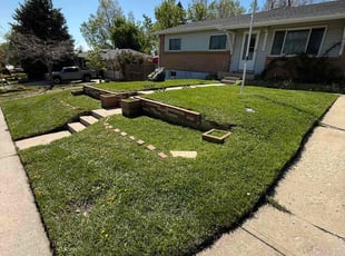 Haoyuan L.'s lawn service service result