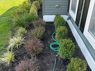 Megan M.'s Flower Bed Weeding service result