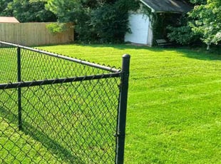 Marcel G.'s lawn care service result