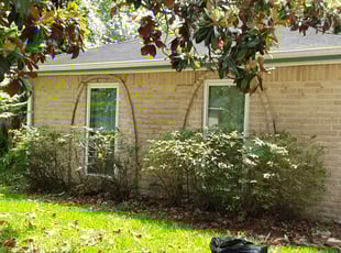 Matthew B.'s Bush Trimming service result