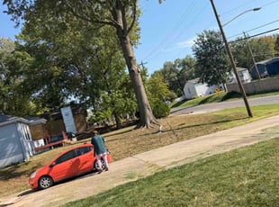 April W.'s lawn care service result