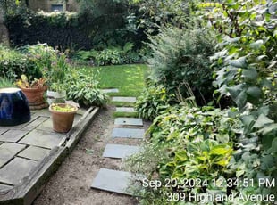 Darwind M.'s turf care service result