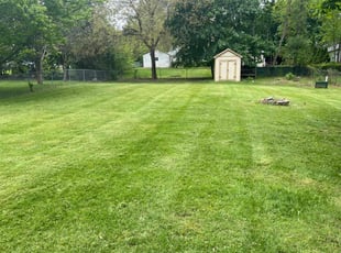 Rachel G.'s lawn care service result