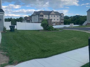 Shevy M.'s lawn care services service result