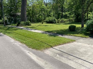 Jason S.'s lawn service service result