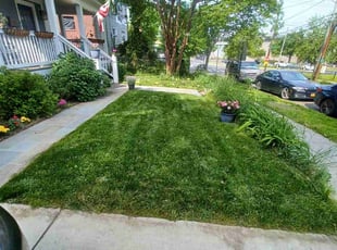 Sara H.'s lawn care services service result