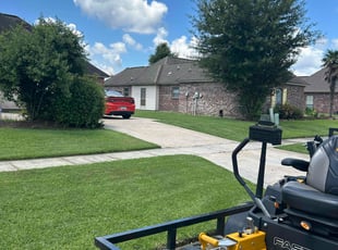 Mark P.'s grass maintenance service result