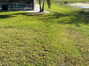 John M.'s grass cutting service result
