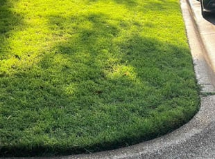 Debra H.'s grass cutting service result
