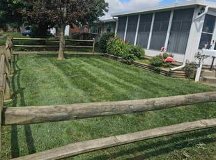 Rumana A.'s grass maintenance service result