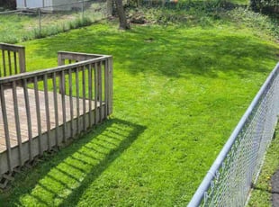 Jason A.'s lawn care service result
