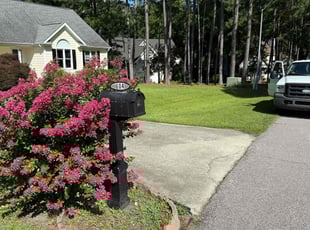 Bianca N.'s lawn service service result