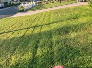 Irving J.'s grass cutting service result