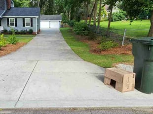 Matthew D.'s turf care service result
