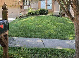 Eva S.'s turf care service result