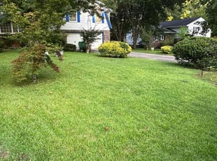 Robert G.'s grass maintenance service result