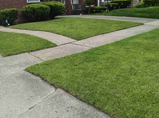 Jose H.'s lawn maintenance service result
