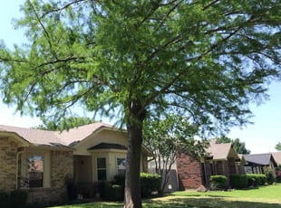 Dusty M.'s lawn service service result