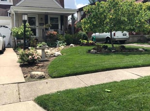Leigh O.'s turf care service result