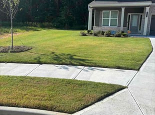Jessie D.'s turf maintenance service result