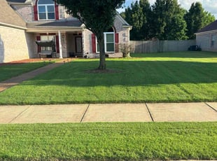 Wade G.'s lawn care service result
