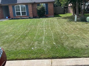 Reggie P.'s turf care service result