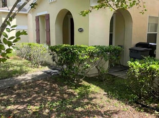 George P.'s Bush Trimming service result