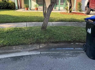Vincent O.'s lawn service service result