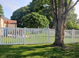 Kathy O.'s grass maintenance service result