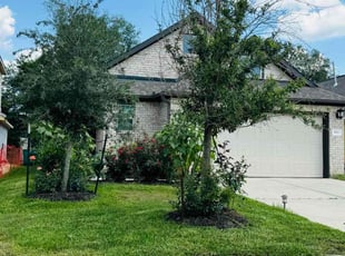 Paul M.'s grass maintenance service result