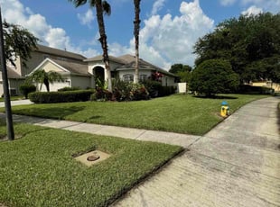 Eric B.'s turf care service result