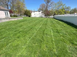 Laryn G.'s lawn care service result
