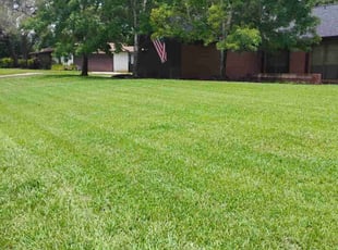Yolanda R.'s lawn care services service result