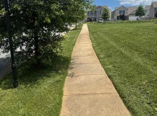 James C.'s lawn care service result