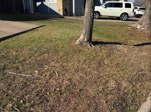 Katherine M.'s turf maintenance service result