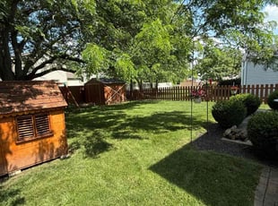 Clarisa M.'s grass maintenance service result
