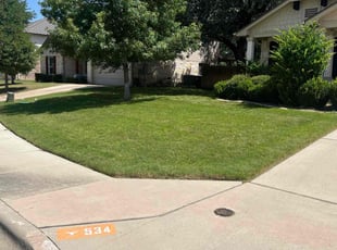 Victoria M.'s grass maintenance service result