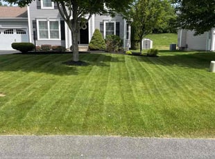 Amanda T.'s lawn maintenance service result