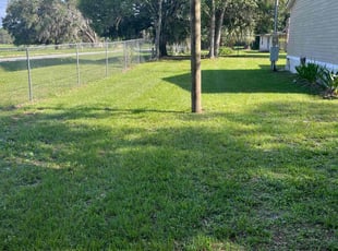 Lee C.'s lawn care services service result