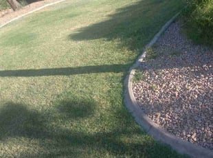 Hannah W.'s turf maintenance service result