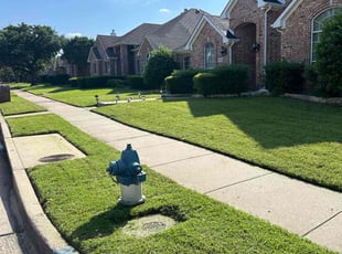 Connie C.'s lawn care service result