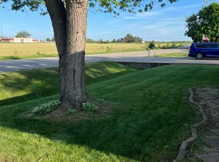 Jessica B.'s turf maintenance service result