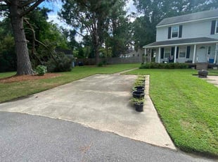 Jean W.'s turf care service result