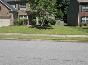 Mark S.'s lawn maintenance service result